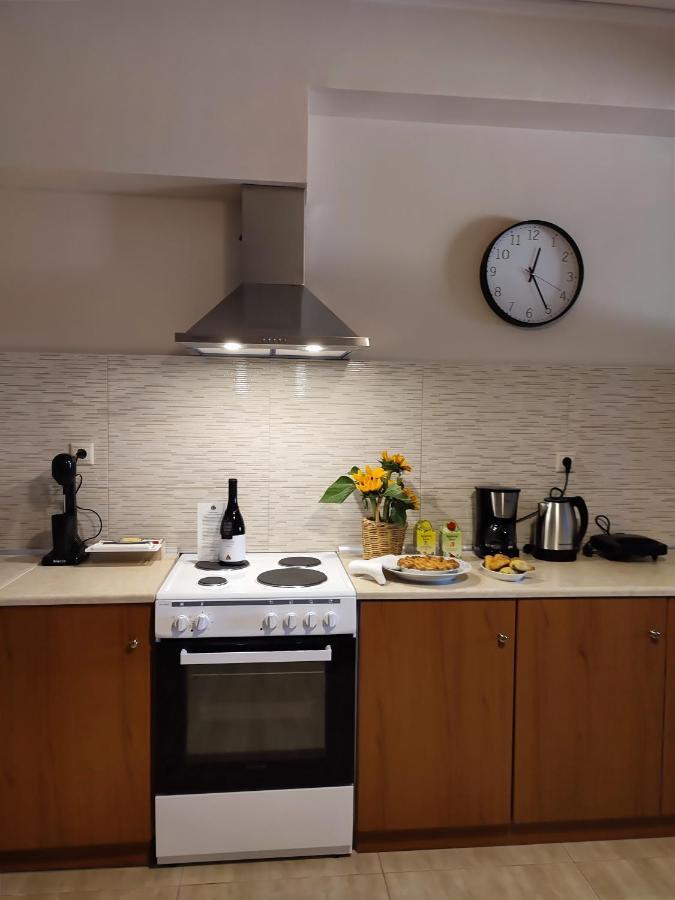 Seaview-Apartments Palaiá Fókaia المظهر الخارجي الصورة